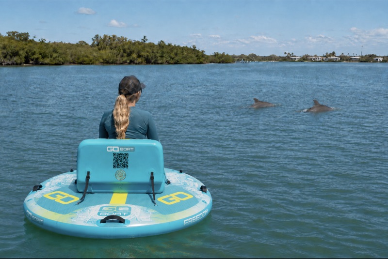 Woman on a GoBoat watching two dolphins on the Intracoastal Waterway near Flagler Beach